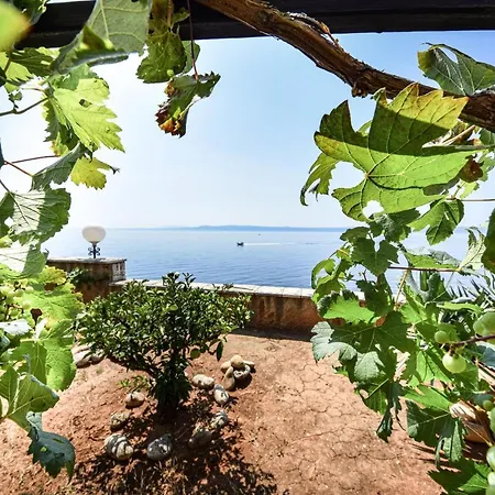 Guest house And By The Sea Puntinak, Brac - 12255 Selca (Brac)